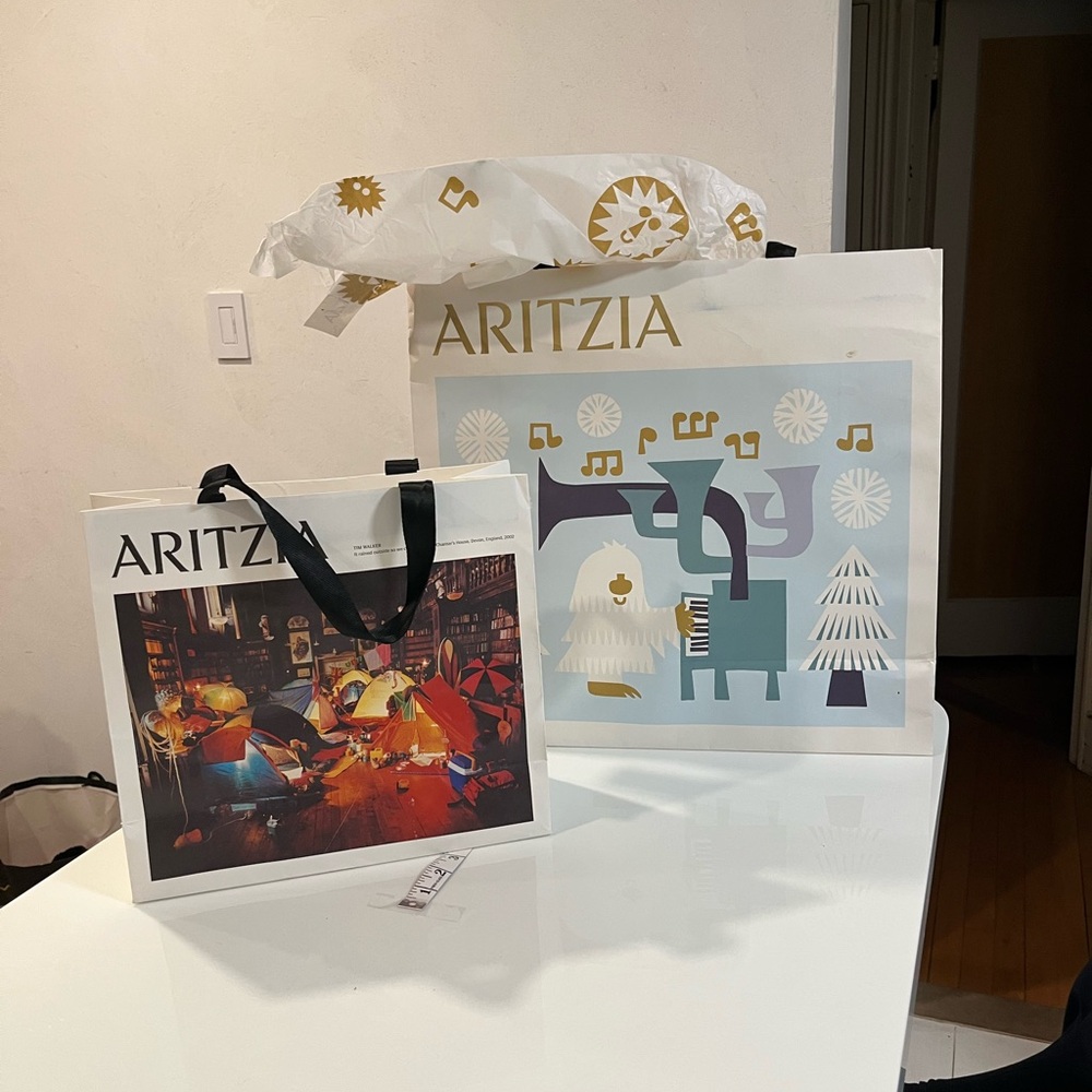 Aritzia Artistic Shopping Bags 2 with Black Handles